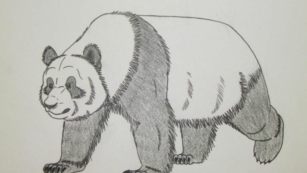 drawing:tjdpvrb218i= panda